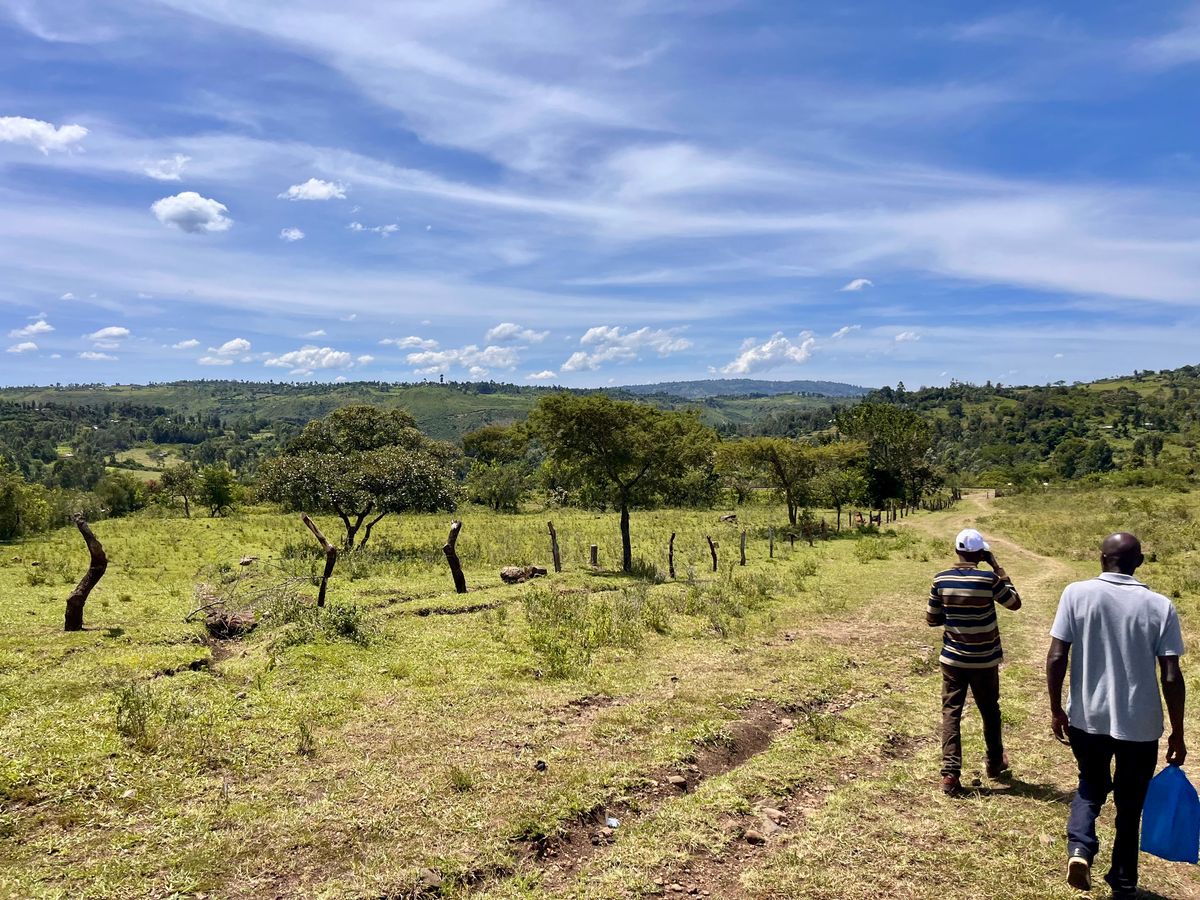 Walking through fields in Uganda