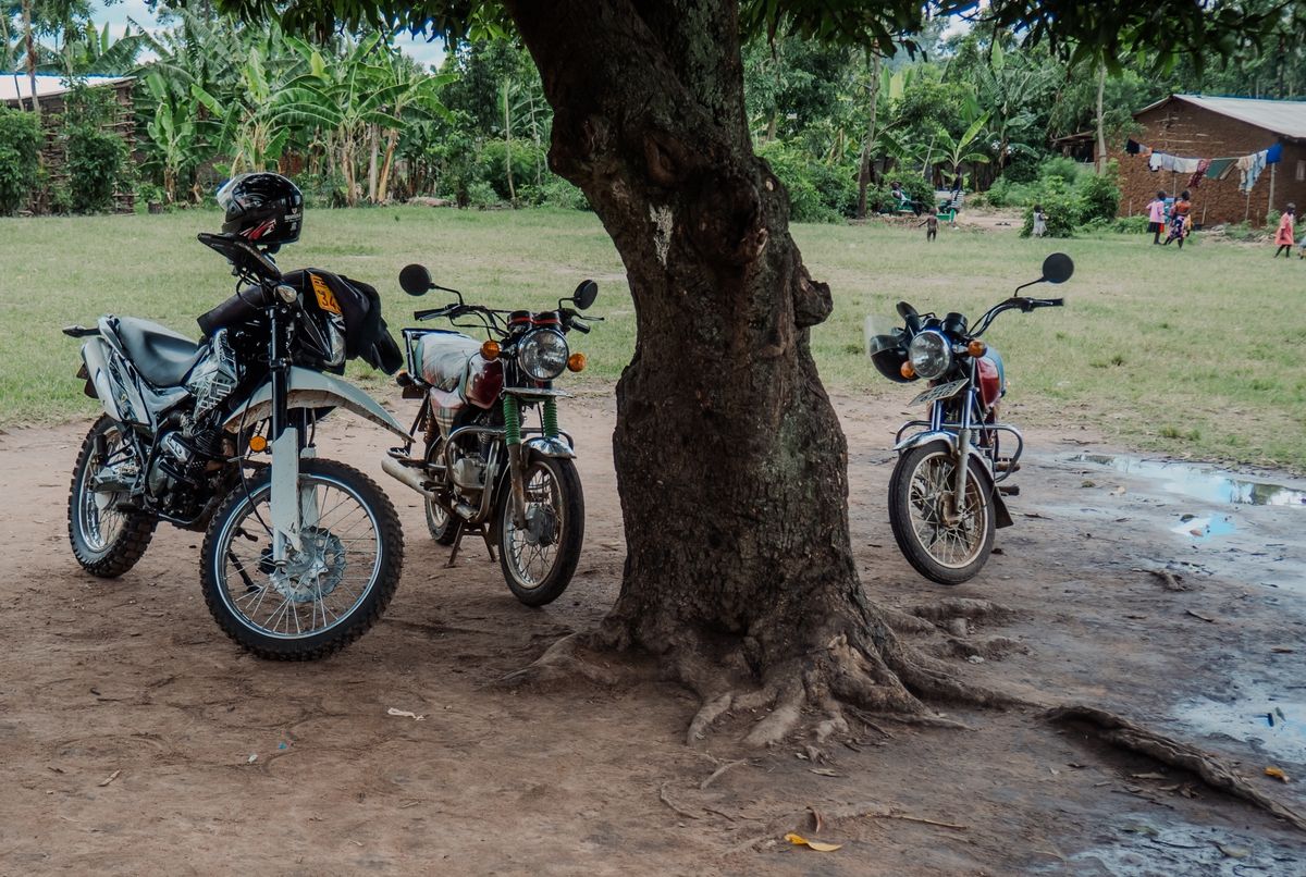 Motorbikes parked under a tree in Uganda