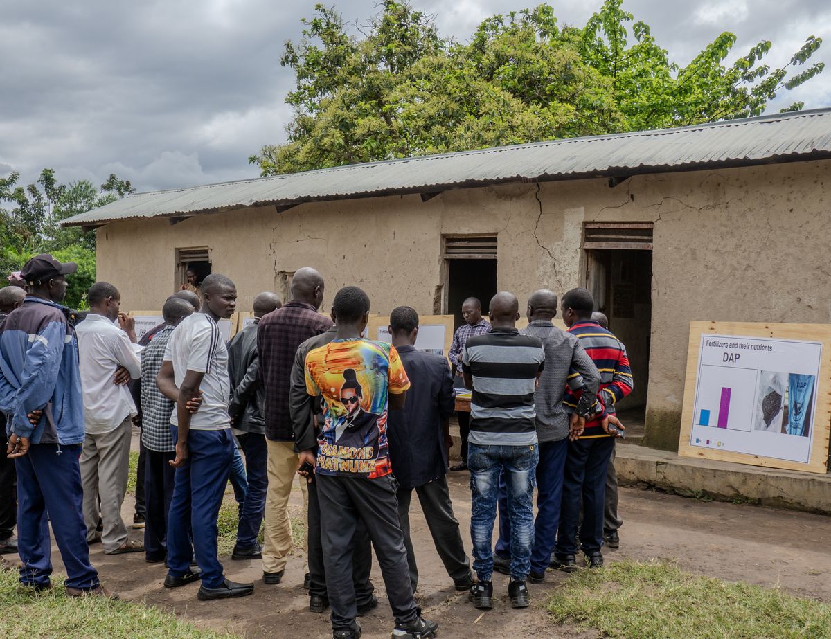 Farmers at fertilizer demonstration