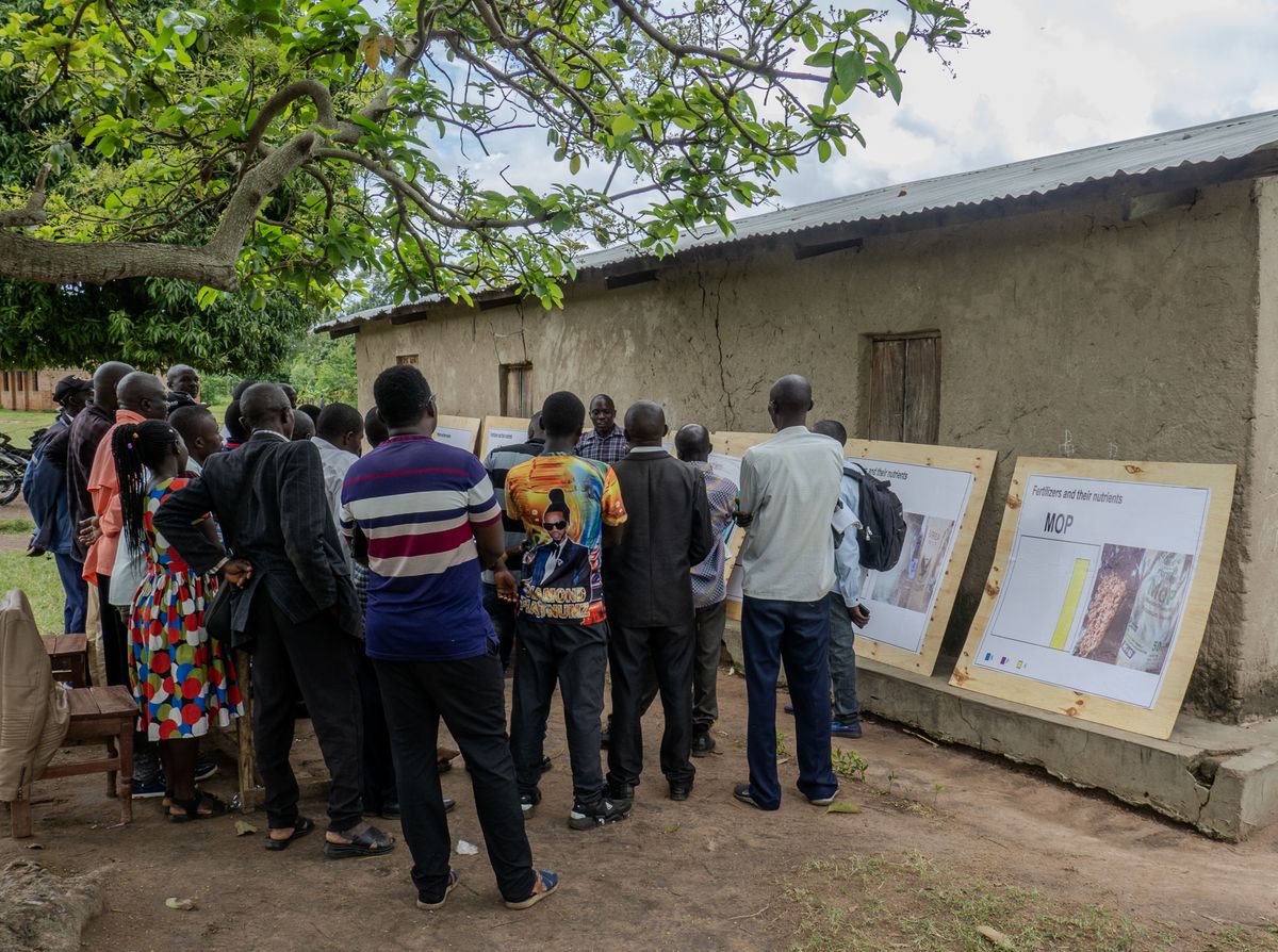 Farmers viewing demonstration boards