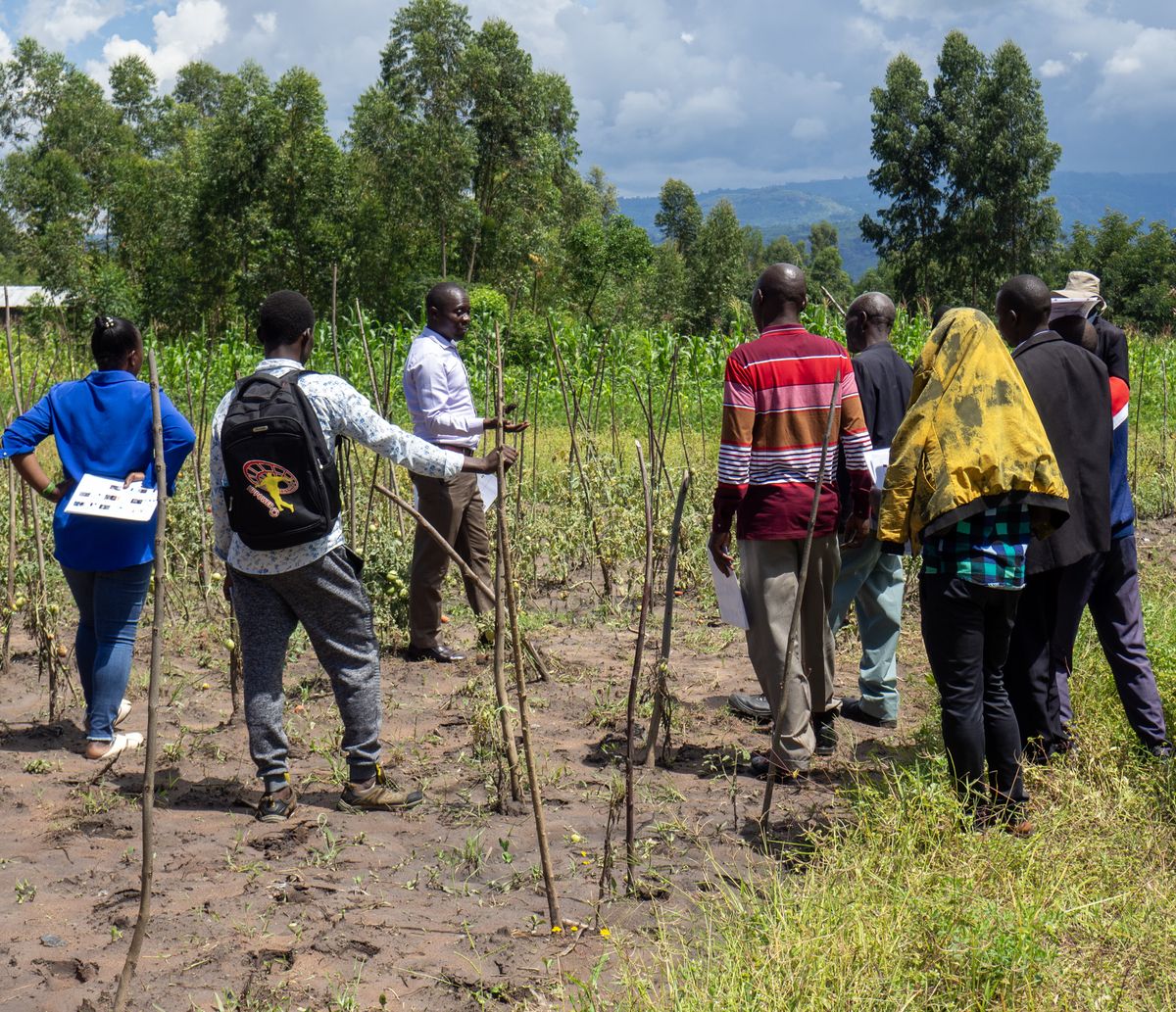 Field visit with farmers and researchers